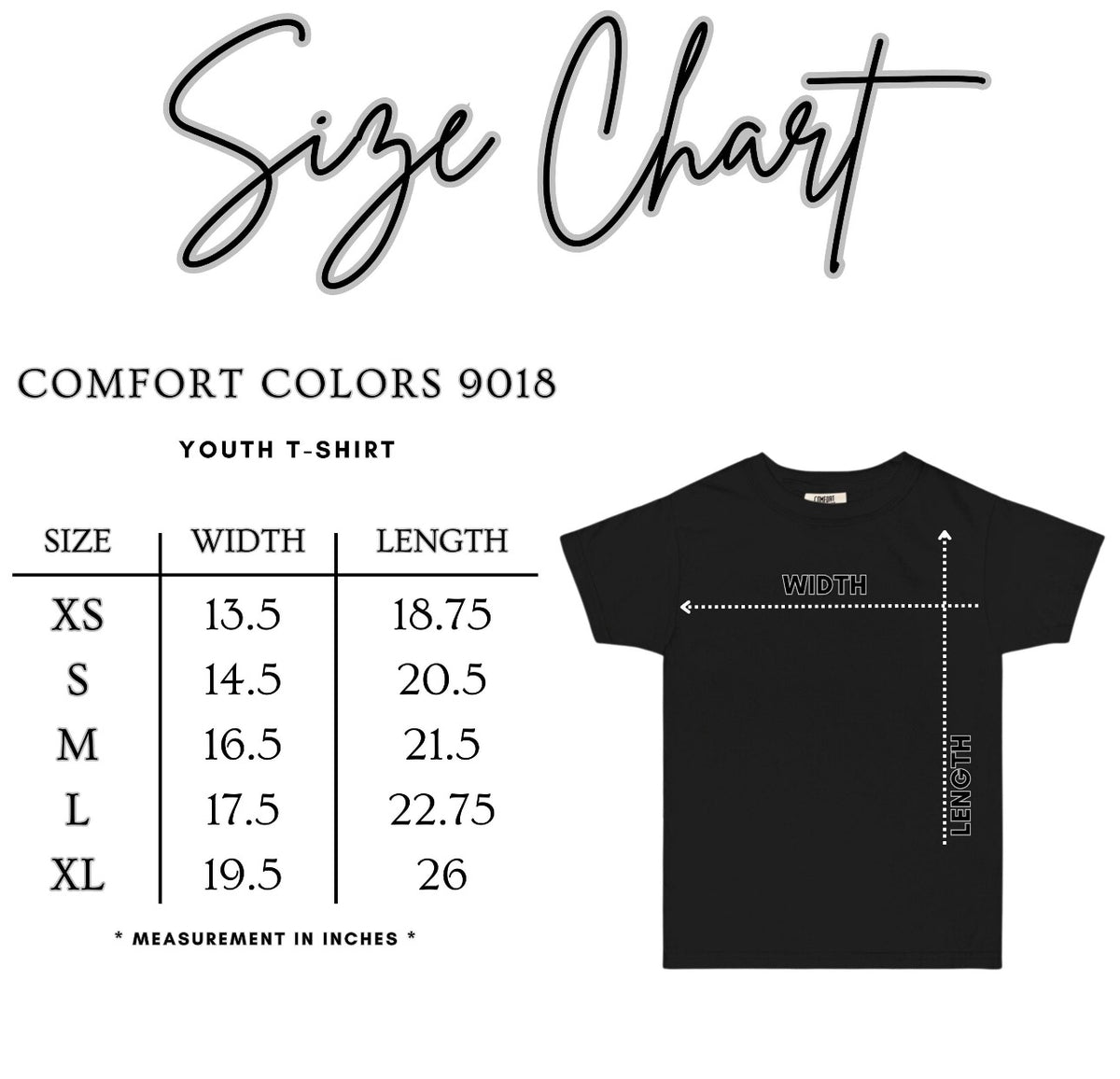 American Gator • YOUTH Comfort Color T-Shirt